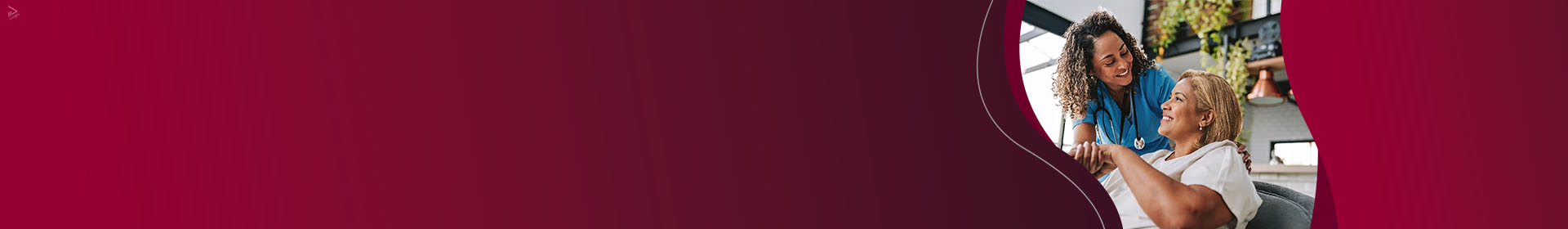 Banner Topo
