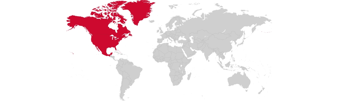 Como são as regras de trânsito nos Estados Unidos - Clube do Inglês