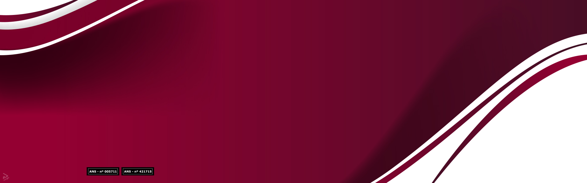 Banner Topo