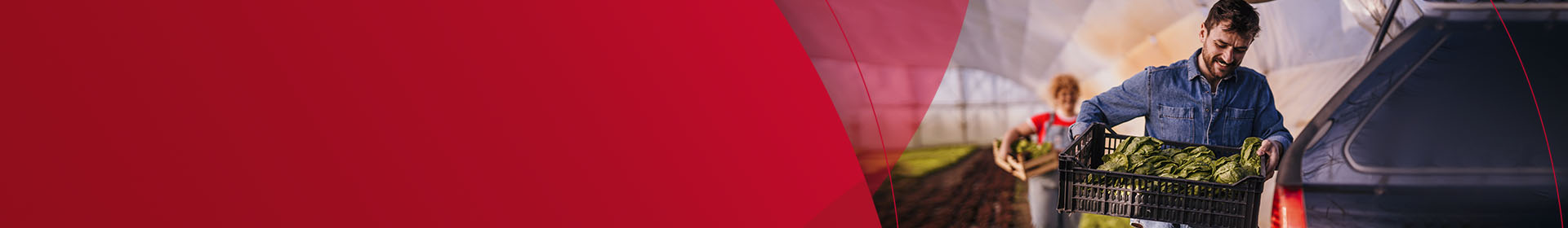 Banner Topo