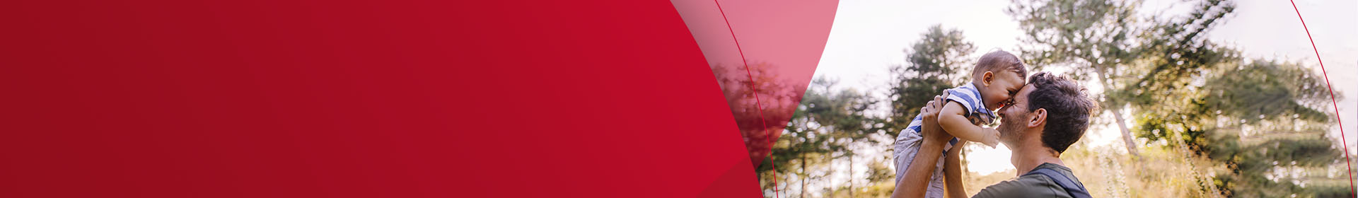 Banner Topo