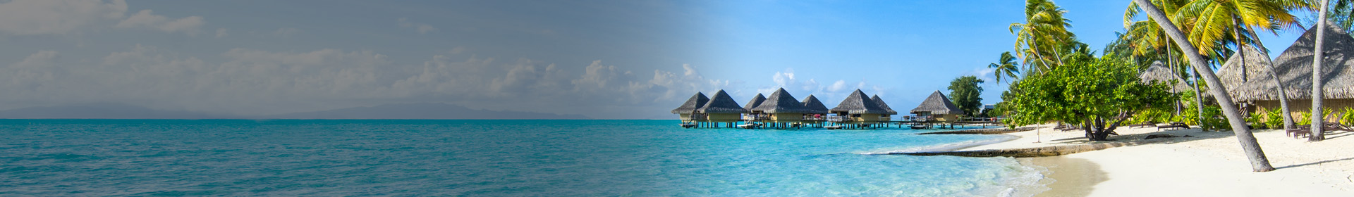 Banner Topo