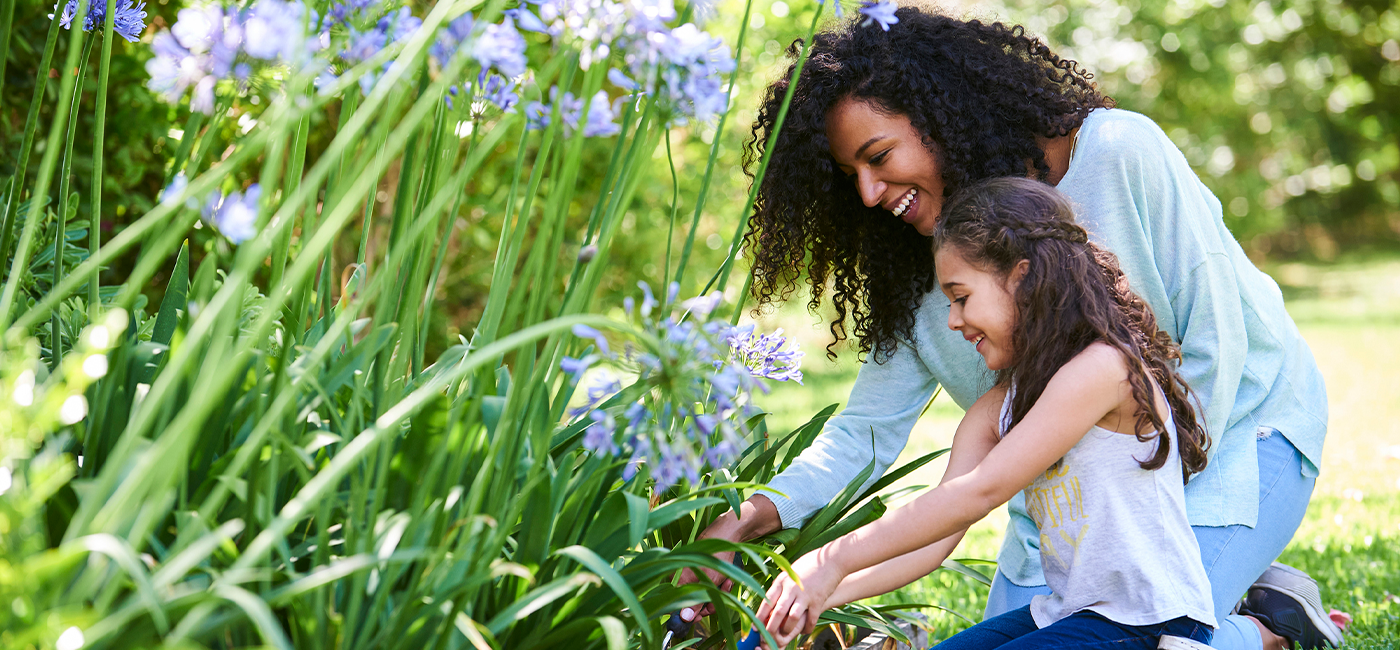 Jardinagem e natureza: benefícios para o bem-estar