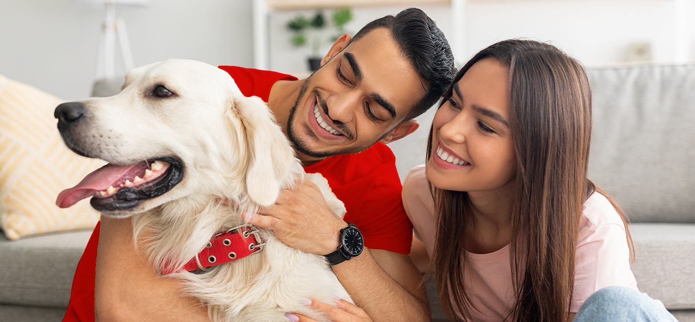 Por que conviver com animais faz bem à saúde?