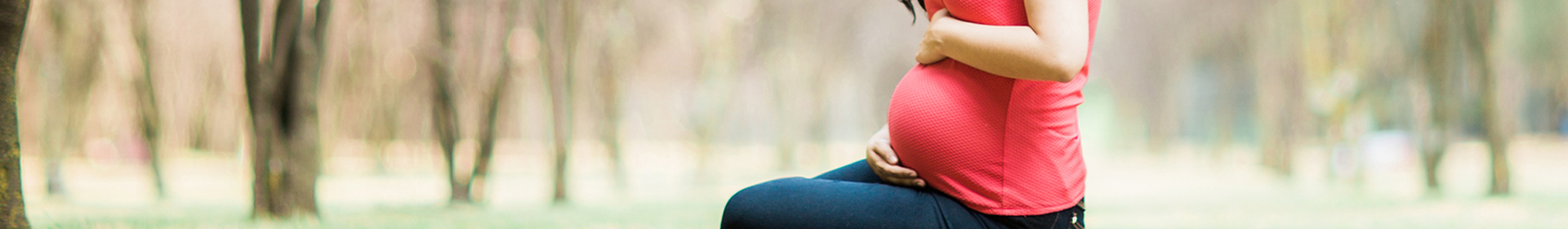 Banner Topo
